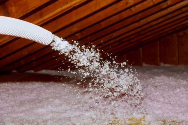 Best Basement Insulation  in Claysburg, PA